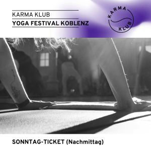 Yoga Festival Koblenz Sonntag-Ticket Nachmittag